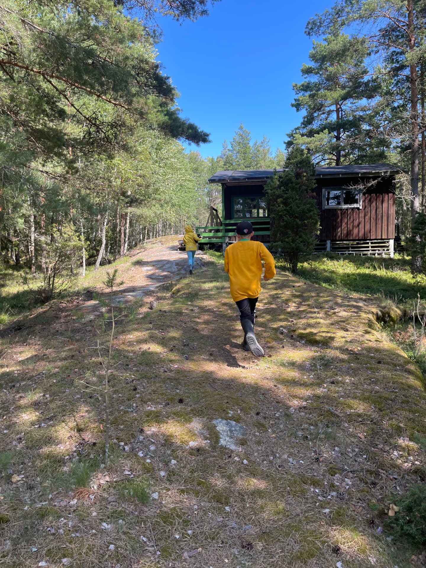 Kaksi lasta kävelee kohti perheen kesämökkiä metsässä aurinkoisena päivänä.